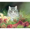 image 2023 cats in the country wallpaper december width=&quot;1000&quot; height=&quot;1000&quot;